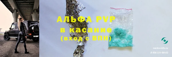 сатива Гусиноозёрск