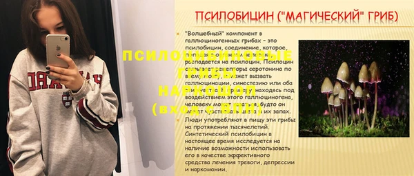 сатива Гусиноозёрск