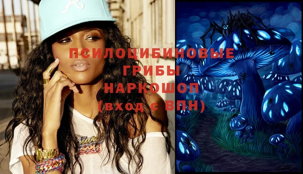 MESCALINE Гусев
